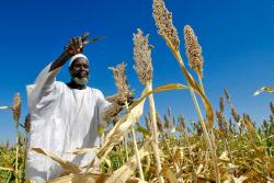 Un campesino con grandes conocimientos en agricultura decide visitar a Dios, pues él cree que sabe como evitar el hambre en el mundo, germinando la cosecha perfecta.